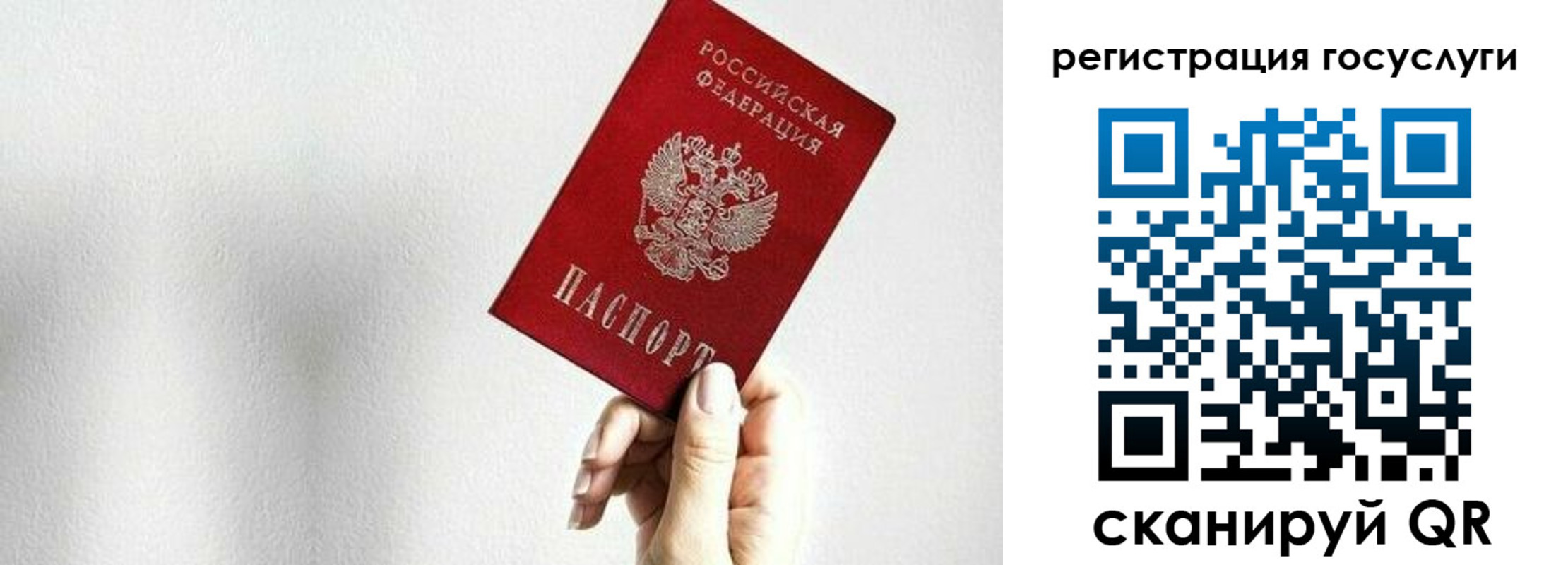 прописка гарантия в Волгореченске